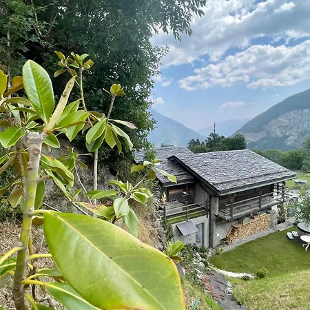 Mazot Agora & Family Trip - Ouest R+1 شقة