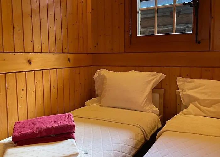 Mazot Agora & Family Trip - Ouest R+1 * Salvan